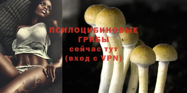 сатива Алексин