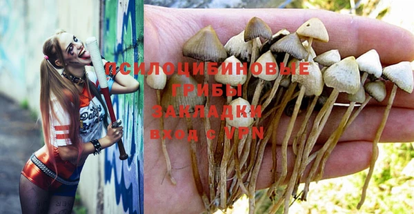 сатива Алексин