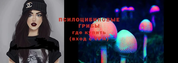 соль курить ск Алексеевка