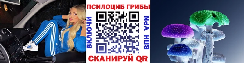 Псилоцибиновые грибы мухоморы  Петровск-Забайкальский 
